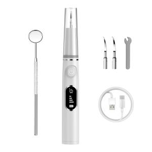 Wholesale Professional USB LED Light Built In Ultrasonic Tooth Cleaner Portable Dental Electric Scaler Electric Tooth Cleaner from china suppliers