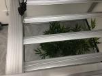 8 Bars 680W 3000K Dimmable LED Grow Lights
