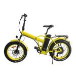 Rear Motor Brushless 48v Electric Bike Folding Electric Bike 48v 500w 36V 350W