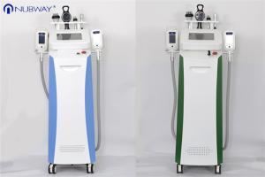 Wholesale The multifunctional weight loss cryolipolysis cool shaping machine cryotherapy from china suppliers