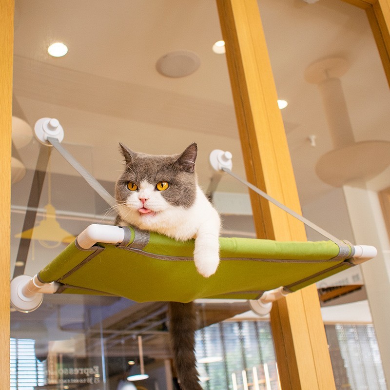 small cat window perch