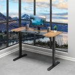 Executive Director Modern Wooden Office Desk with Electric Height Adjustment