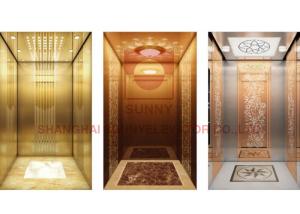 Wholesale 400kg 350mm Pit Residential Home Elevator With No Machine Room from china suppliers