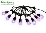 Party 6 Modes RGB Filaments S14 Commercial Grade LED String Lights