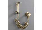 Modern Hotel Brushed Gold High Pressure Toilet Bidet Shattaf Wall Mounted