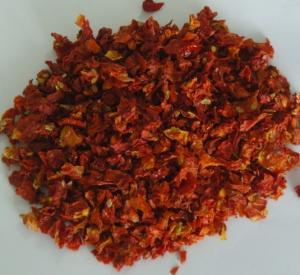 Wholesale Half Cutted 9*9mm Dehydrated Air Dried Tomatoes from china suppliers