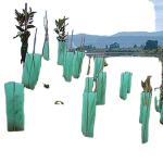 Corruone China Hot Sale Waterproof PP Corrugated Plastic Tree Guards