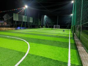 Wholesale SGS Diamond 66 Sports Football Artificial Turf 50m Height from china suppliers