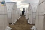 Agriculture Tunnel Greenhouse Galvanized Steel Frame Single Span Greenhouse
