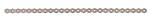 Veterinary Implant Surgical Orthopedic Screw Vet Locking Screw For Dog