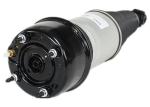 Rear Spare Parts Air Suspension Spring Absorbers Shock Strut For Jaguar XJ