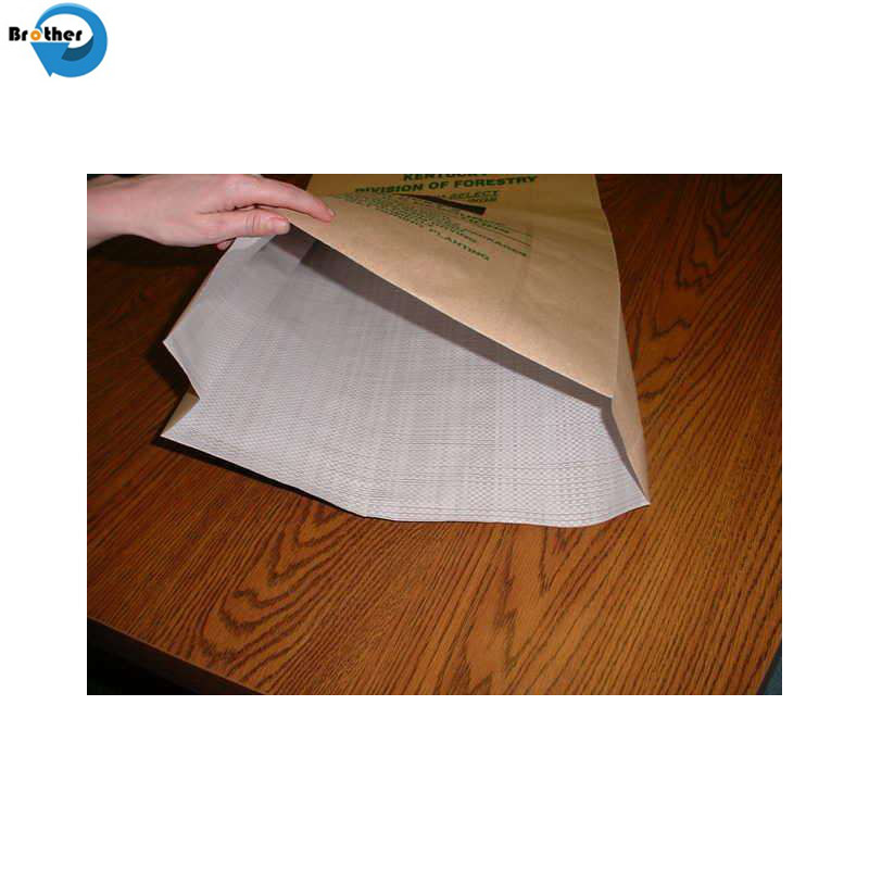 Kraft Paper Laminated with Polypropylene Mesh Tube Woven Bag Small Custom Food Perforated