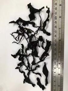 Wholesale Premium Tender Wakame: Soft, Dark Green Goodness for Soups &amp; Salads from china suppliers