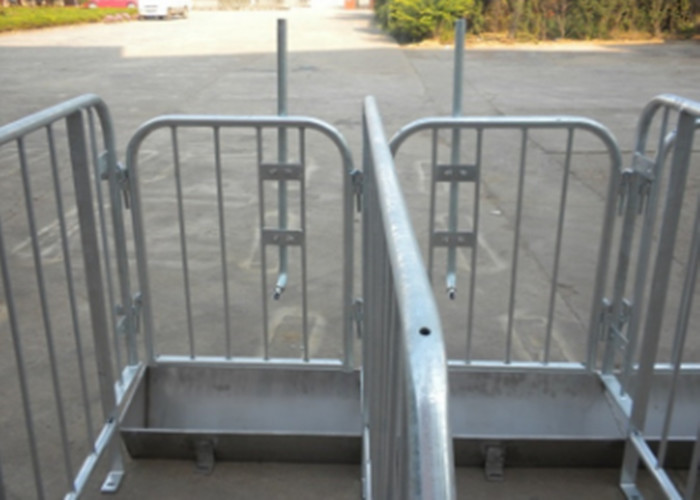 Hot Dip Galvanizing Hog Gestation Crates Customized Pif Farm Stall With Different Size