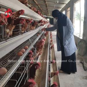 Wholesale 2022 Hot Sale Battery Poultry Layer Cage , coated A Frame Layer Cages 25 years Emily from china suppliers