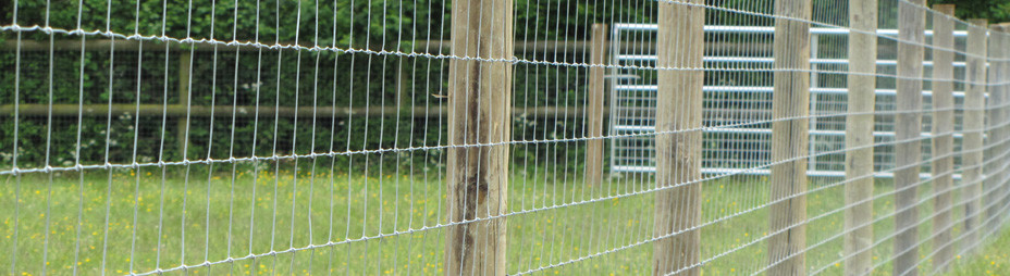 Galvanized Steel Wire Mesh Fence Animal field fence cost Zoo Wild Fencing Roll
