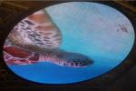 P31.25mm Full Color HD Flexible Transparent Glass Led Display/Outdoor Advertisin