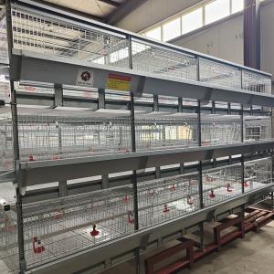 Wholesale Poultry Farming 1-45 Days Broiler Equipment SGS Battery Cage System from china suppliers