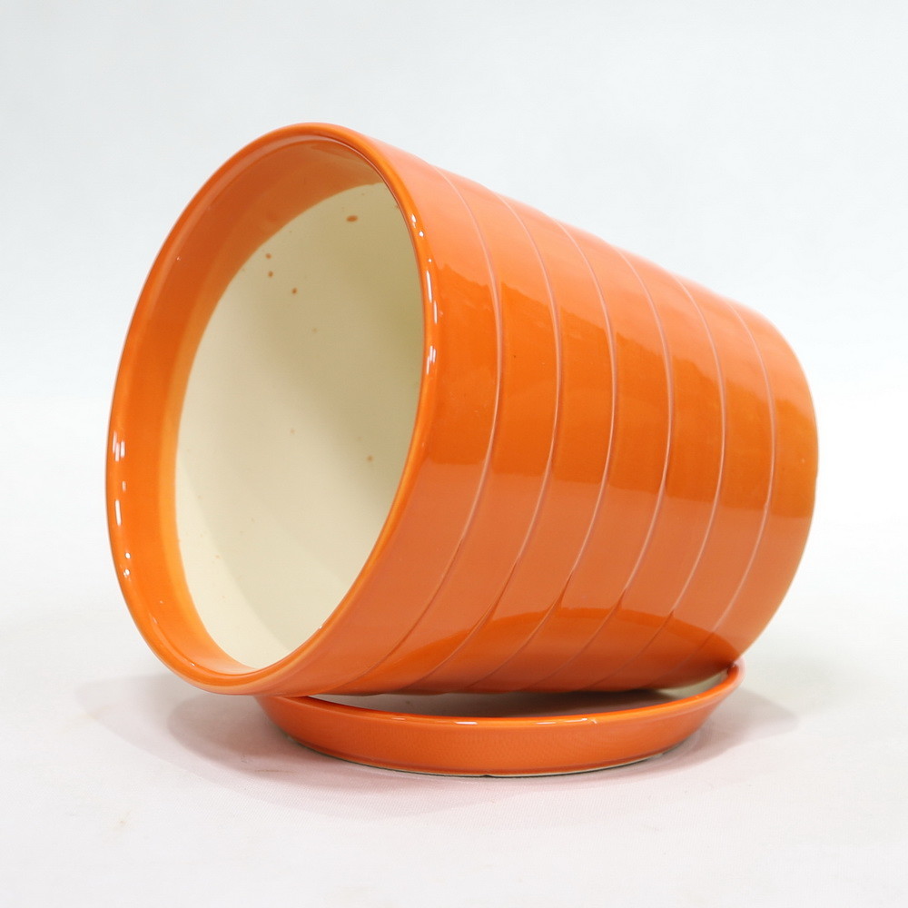 Discover The Best Selection Of Ceramic Pots For Your Plants Affordable Prices