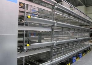Wholesale Eco - Friendly Chicken Egg Laying Equipment High - Density Raising Save Labor Cost from china suppliers