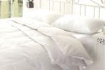 Wholesale Healthy Household Duck Down Pillows