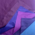 100%Polyester 50D*50D 66gsm Taffeta