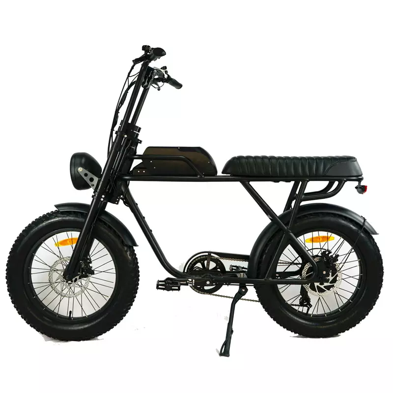 48v 500w E Bike 2 Seat Fast Speed Electric Snow Beach Bicycle with Customized Design