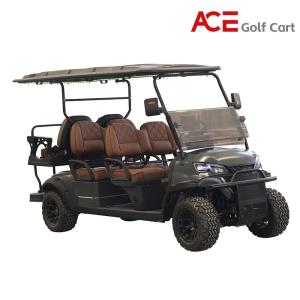Wholesale Sun Canopy Roof Electric Golf Cart With Leather Fabric Seats 8 - 9 Hours Charging Time from china suppliers