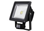 30W Led Pir Floodlight Energy Saving CE / ROHS / IEC / ISO9001 2008