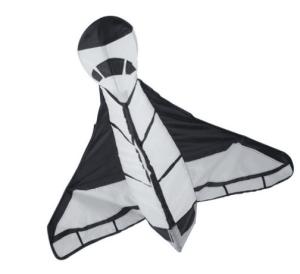 Wholesale Kids Sports 3D Kite For Autumn Season Good Performance Oem / Odm Service Acceptable from china suppliers