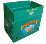 Corrugated Board Fruit Carton Box