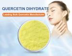 Natural Sophora Japonica Extract 99% Quercetin Dihydrate Powder For Healthcare