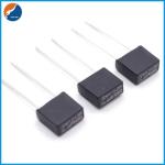 250V Miniature Cartridge Fuse