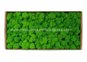 Wholesale Environmental-Friendly Silk PE Faux Fake Moss Wall Art Panels 450g/Set from china suppliers