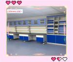 80kg Chemistry Lab Bench Laboratory Caseworks with High Environmental Friendline