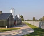 Prefab Metal Structure Building Dairy Cow Shed Goat Farming House Light Steel