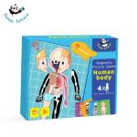 Magnetic Human Body Anatomy Play Set Multi Color Jigsaw Puzzle For Kids