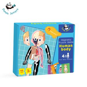 Wholesale Magnetic Human Body Jigsaw Puzzle Preschool Creative Cognitive Skills Training from china suppliers