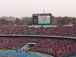 SMD P10 Sports Stadium Perimeter LED Display Commercial Advertising Billboards
