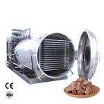 Commercial Freeze Dryer Machine Industrial Lyophilizer For Fruits Vegetables