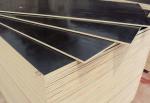 Hardwood Construction External Ply Sheets / First Class Grade Film Faced Marine