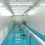 GMP Grade 11 Wind Resistance Hospital Modular Cleanroom