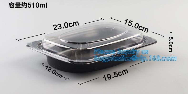 Factory Direct Lid Plastic Lunch Box Clear Food Container,Keep Fresh Crisper Food Box,Fresh Boxpp packaging disposable c