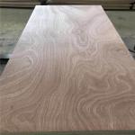 Sapele Core FSC 18mm 6mm 25mm Sapele Faced Plywood