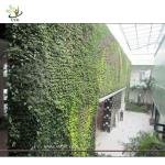 UVG Indoor Walls decoration Artificial Plant Wall building landscaping GRW05