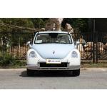 1-25000 Miles ORA Ballet Cat Vintage Energy Vehicle with Sunroof by Great Wall