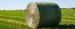 HDPE Well-Knitted White Bale Wrap Net