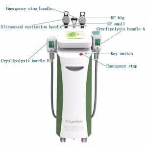 Wholesale Fat freezing 360 degree criolipolisis 4 handles liposuction belly fat reducing machine from china suppliers