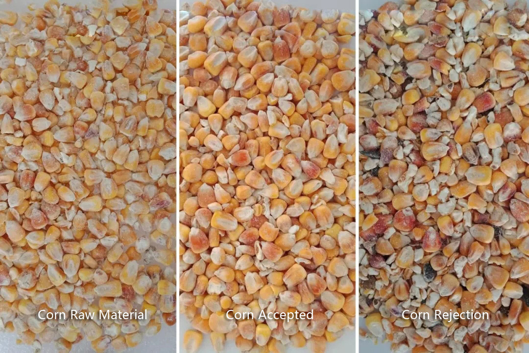 High Capacity Intelligent White CCD Camera Color Sorter For Rice/Grain /Beans With Nice Price