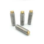 Long 304 Stainless Steel M2 Set Screws , GB Brass Tipped Grub Screws